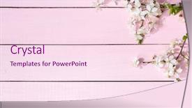  Presentation with cherry - Presentation featuring pink wooden background with flowering background and a pink colored foreground