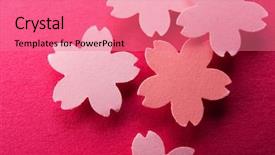  Presentation with pastel pink - Colorful slide deck enhanced with pinkish - cherry blossom background image cherry backdrop and a coral colored foreground