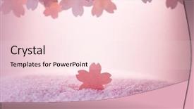  Presentation with cherry blossom - Theme with pinkish - cherry blossom background image shallow background and a lemonade colored foreground