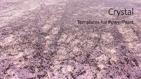  Presentation with pink petal flower animated - Presentation theme consisting of pinkish - pink ground ground covered background and a mint green colored foreground