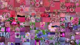  Presentation with patchwork - Audience pleasing presentation consisting of pinkish - pink purple patchwork photo montage backdrop and a coral colored foreground