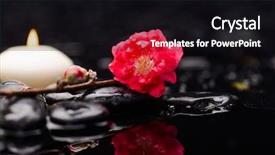  Presentation with candle - Colorful slides enhanced with pinky - branch pink tropical flower candle backdrop and a black colored foreground