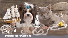  Presentation with dog cat - PPT theme featuring pirate theme - cat and dog dachshund background and a coral colored foreground
