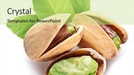  Presentation with nuts - PPT theme with pistachio nuts with pistashio leaves background and a yellow colored foreground