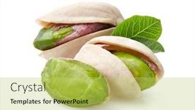  Presentation with tobacco leaves closeup - Beautiful presentation theme featuring pistachio-with-leaves-in-closeup backdrop and a yellow colored foreground