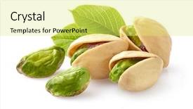  Presentation with leaves - Colorful slide deck enhanced with pistachio with leaves backdrop and a yellow colored foreground