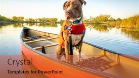  Presentation with fall lake - Presentation theme consisting of pit-bull-dog background and a red colored foreground
