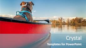  Presentation with pit bull - Slide set consisting of pit bull terrier dog lforward background and a teal colored foreground