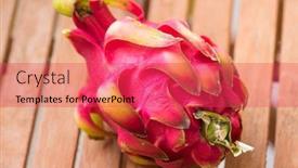  Presentation with pitahaya - PPT layouts featuring pitahaya background and a red colored foreground