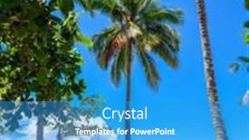  Presentation with bahia - Audience pleasing presentation design consisting of pitinga-beach-arraial-d-ajuda backdrop and a teal colored foreground