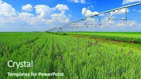  Presentation with irrigation - Colorful slide deck enhanced with pivots - pivot irrigation in wheat field backdrop and a forest green colored foreground