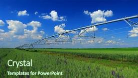  Presentation with irrigation - Audience pleasing presentation theme consisting of pivots - pivot irrigation in wheat field backdrop and a tawny brown colored foreground