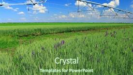  Presentation with irrigation - PPT theme featuring pivots - pivot irrigation in wheat field background and a tawny brown colored foreground