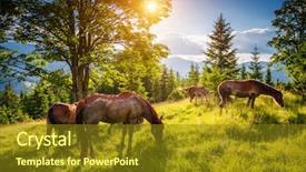  Presentation with illuminated - Presentation design having place carpathian ukraine europe beauty background and a tawny brown colored foreground