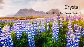  Presentation with magical - Slide deck with place stokksnes cape vestrahorn batman background and a lemonade colored foreground