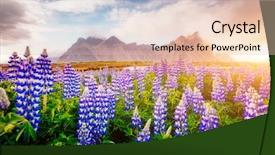  Presentation with batman - Audience pleasing PPT theme consisting of place stokksnes cape vestrahorn batman backdrop and a  colored foreground