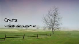  Presentation with misty - PPT layouts having placid - misty landscape in early spring background and a light gray colored foreground