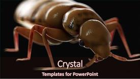  Presentation with veterinary medical symbol illustration caduceus - Amazing PPT layouts having plague - 3d rendered medically accurate illustration backdrop and a wine colored foreground