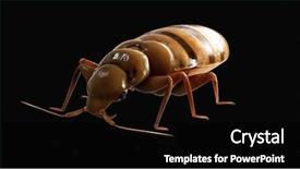  Presentation with veterinary medical symbol illustration caduceus - Slide deck consisting of plague - 3d rendered medically accurate illustration background and a black colored foreground