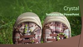  Presentation with stuck - Audience pleasing slides consisting of plaid shoes with various burrs stuck on them after a walk backdrop and a tawny brown colored foreground