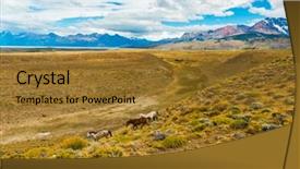  Presentation with wild horses - Colorful presentation design enhanced with plaim - three wild horses in pampas backdrop and a gold colored foreground