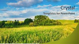  Presentation with rural india view - Cool new slides with plain blue wallpaper - panoramic view of a meadow backdrop and a light blue colored foreground