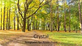  Presentation with fall leaves - Colorful PPT theme enhanced with  backdrop and a  colored foreground