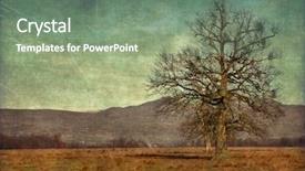  Presentation with aging - PPT layouts with plain vintage - aging nature rural photography background and a gray colored foreground