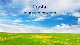  Presentation with blue green - Presentation theme having plain yellow - green field with flowers background and a light blue colored foreground