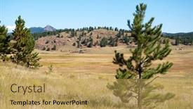  Presentation with pine trees - Beautiful slides featuring plains-valley-and-pine-trees backdrop and a yellow colored foreground