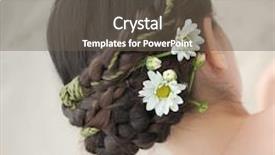  Presentation with haircut - PPT theme consisting of plaited - back view of beautiful haircut background and a  colored foreground