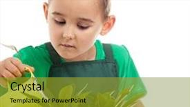  Presentation with white - Presentation theme consisting of plamt - little gardener boy isolated background and a  colored foreground