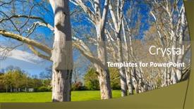  Presentation with czech republic - PPT layouts featuring plane-alley-in-the-castle background and a coral colored foreground