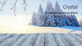  Presentation with beautiful nature - Amazing slide deck having planks ideal for product placement backdrop and a light blue colored foreground