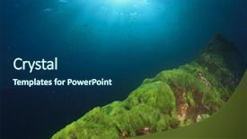  Presentation with green algae - Audience pleasing slide set consisting of plankton - green algae on underwater rocks backdrop and a ocean colored foreground