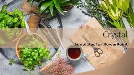  Presentation with flower pots - Audience pleasing theme consisting of planning-your-herb-garden-patio backdrop and a coral colored foreground