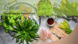  Presentation with flower pots - Cool new presentation theme with planning-your-herb-garden-patio backdrop and a yellow colored foreground