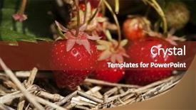  Presentation with plant protection - Cool new PPT layouts with plant above a layer backdrop and a  colored foreground