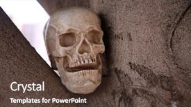  Presentation with human anatomy - Amazing PPT layouts having plant anatomy - human skull in a tree backdrop and a tawny brown colored foreground