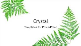  Presentation with green leaf - Amazing PPT theme having plant anatomy - young green fern leaf backdrop and a white colored foreground