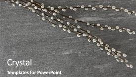  Presentation with plant - Colorful PPT theme enhanced with plant and object concept - pussy backdrop and a gray colored foreground