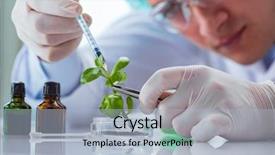  Presentation with plant biotechnology - Amazing presentation theme having plant biology - biotechnology scientist working backdrop and a light blue colored foreground