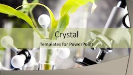  Presentation with plant biology - Audience pleasing presentation consisting of plant biology - ecology laboratory backdrop and a yellow colored foreground