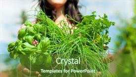  Presentation with plant biology - Beautiful PPT theme featuring ice hockey player backdrop and a ocean colored foreground