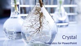  Presentation with plant biology - Cool new presentation theme with plant biology - laboratory glass backdrop and a sky blue colored foreground