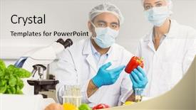  Presentation with pepper - Presentation design featuring plant biotechnology - afood scientists looking background and a light gray colored foreground