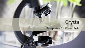  Presentation with microscope - Cool new slide set with plant biotechnology - microscope backdrop and a soft green colored foreground