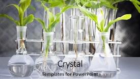  Presentation with sterile pharmaceutical - Beautiful slide deck featuring plant biotechnology - sterile conditions laboratory backdrop and a light blue colored foreground