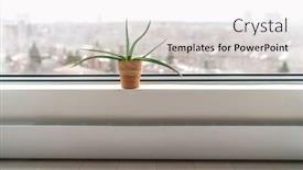  Presentation with air purifier - Cool new presentation design with toxic chemicals - natural purifier indoor backdrop and a white colored foreground