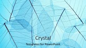  Presentation with skeleton - Audience pleasing presentation theme consisting of plant cell - blue skeleton leaves backdrop and a arctic colored foreground